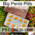 Big Penis Pills new13